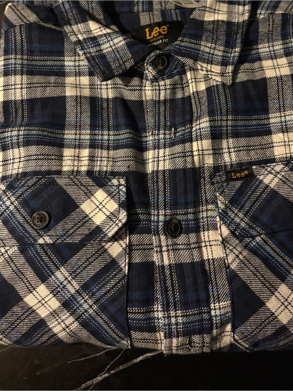 Lee Blue and White Plaid Button-Down Shirt